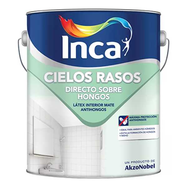 Cielos Rasos Directo Sobre Hongos Blanco 20l Inca Maria