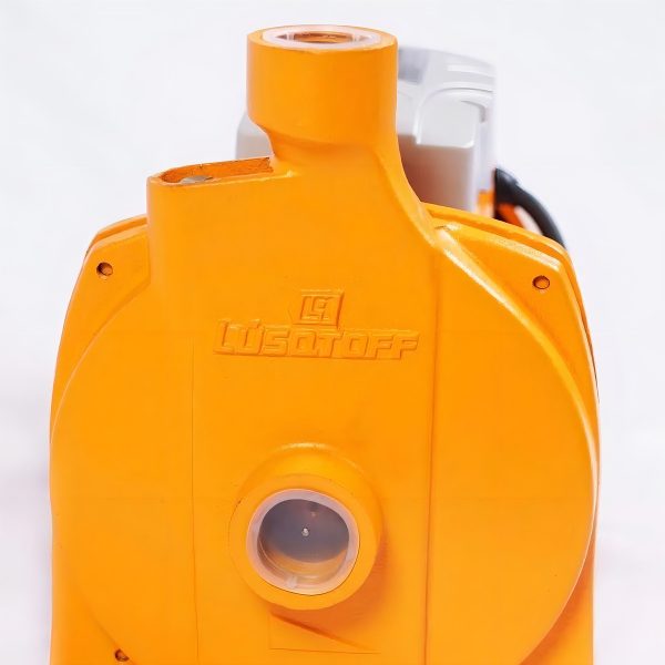Bomba De Agua Centrífuga 3/4hp Electrobomba Lusqtoff - Imagen 2