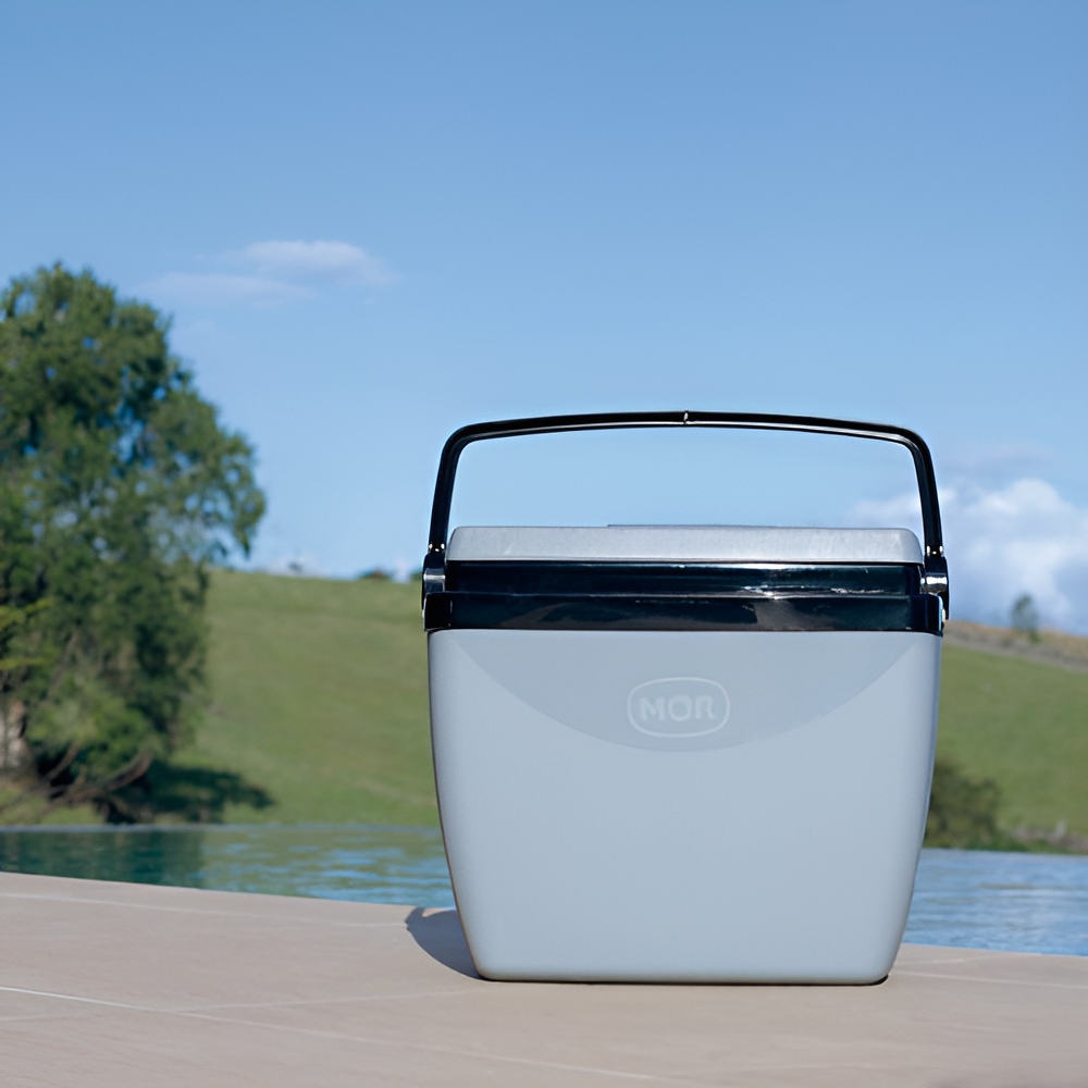 Nevera Gris Y Negra De 26 Litros Con Asa Negra