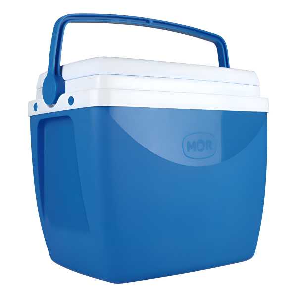 Conservadora Heladerita Portátil Playa Camping 18 L Mor