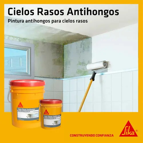 Pintura Para Cielorraso Cubritiva Antihongos Sika - 20 Kg - Imagen 2