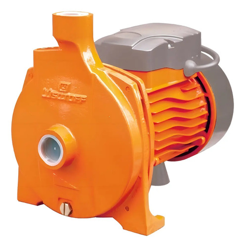 Bomba De Agua Centrífuga 1hp Electrobomba Lusqtoff