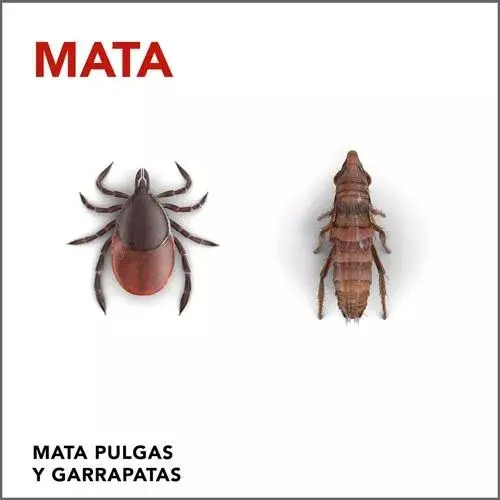 Raid Spray Aerosol Matapulgas Y Garrapatas - - 390 Cm3 - Imagen 2